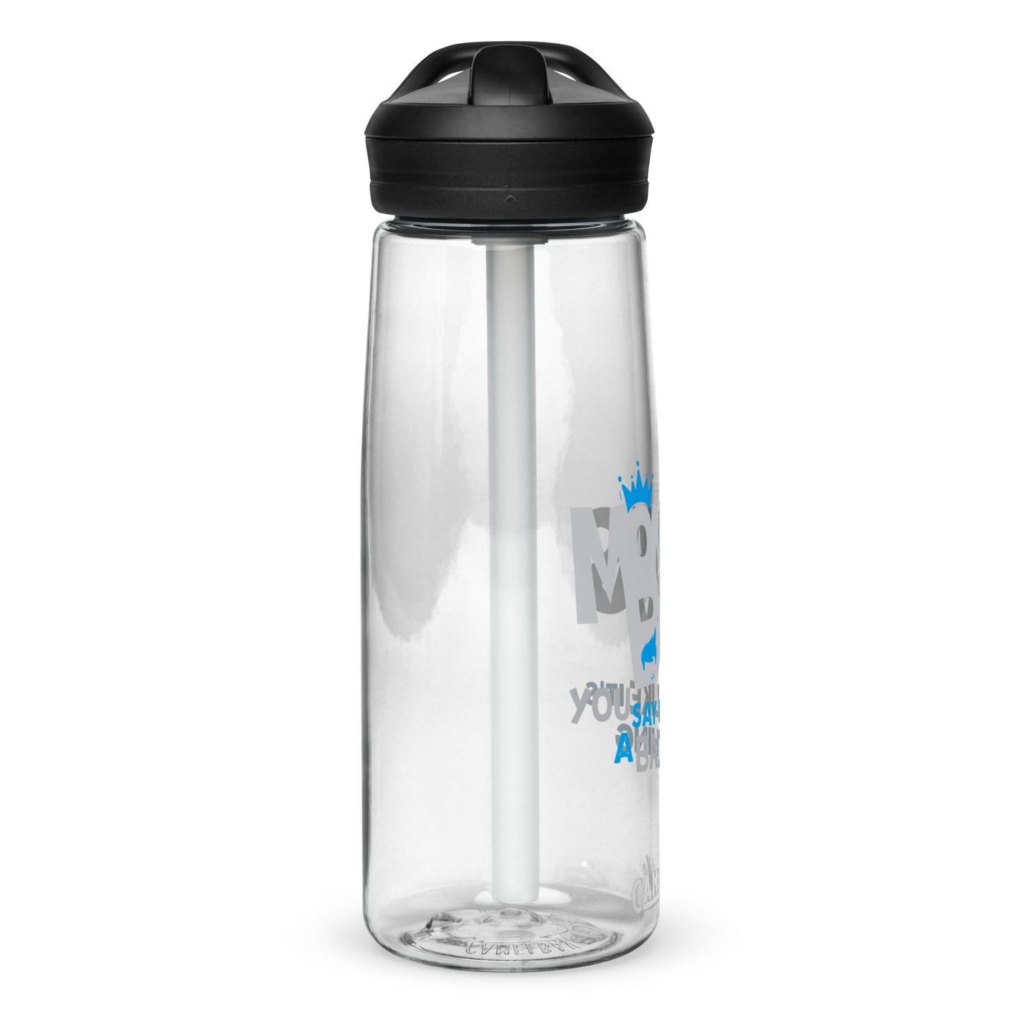 Sports water bottle